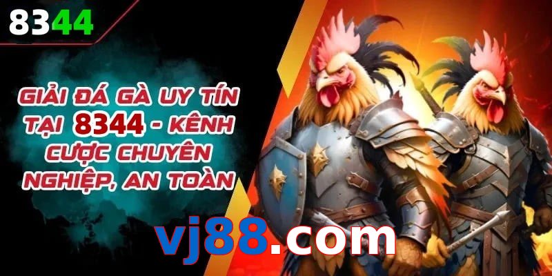 Đơn vị đồng hành cùng đá gà vj88.com