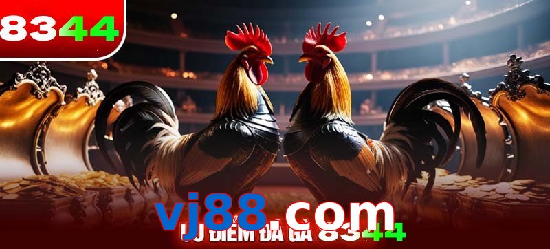 Thể loại đá gà vj88.com được ưa chuộng 
